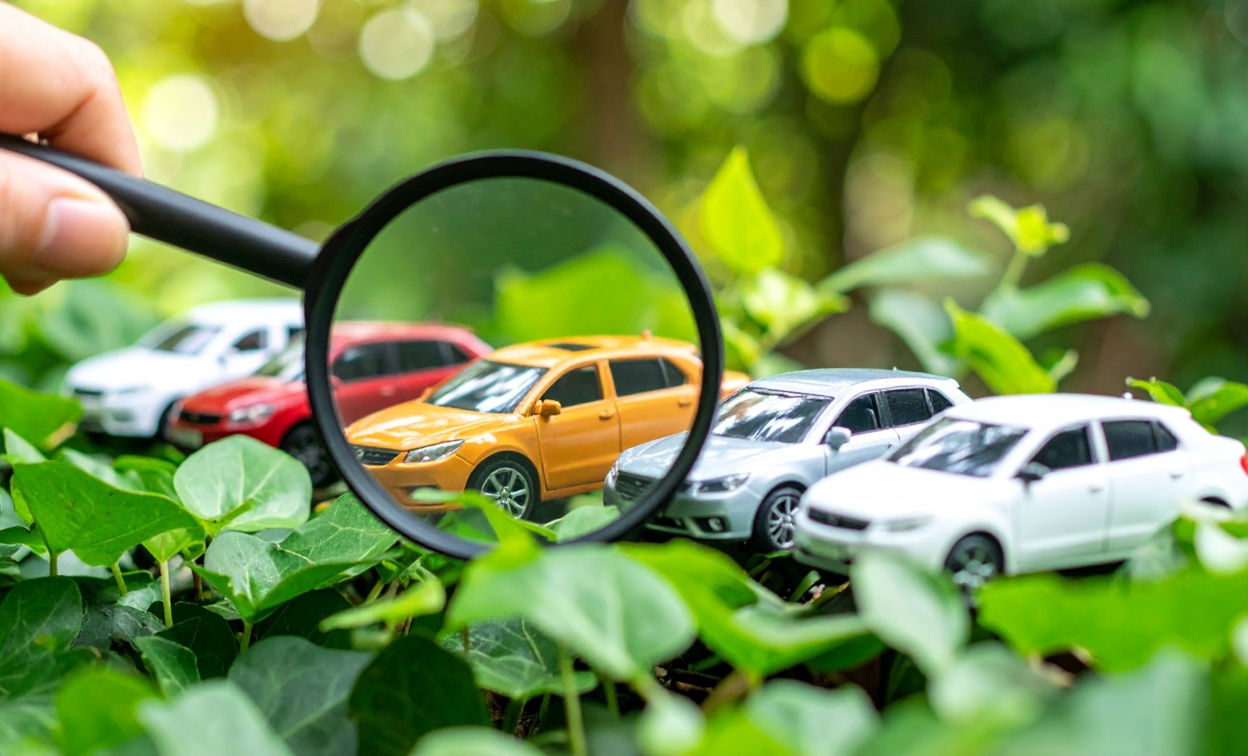 人気車種と実用車を厳選したラインナップ